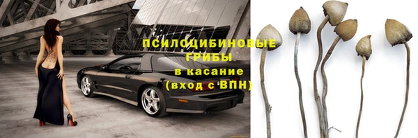 гидра Баксан