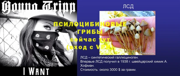 гидра Баксан