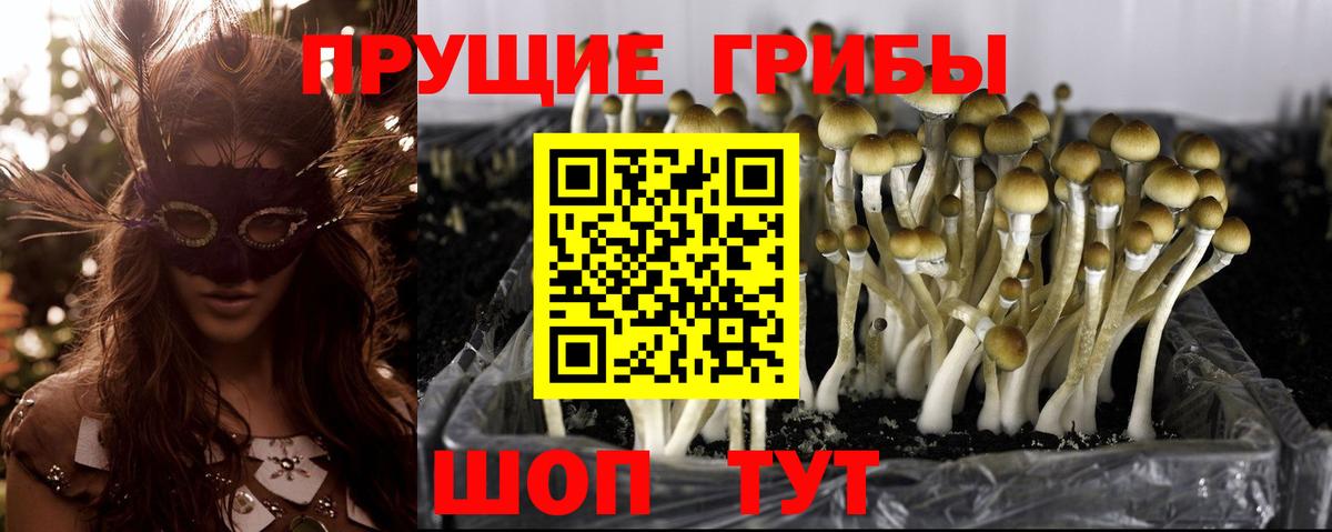 Галлюциногенные грибы мицелий Бор